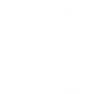 SDQuality Consultoria